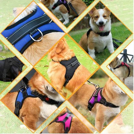 Harnais anti-traction pour chien, confort respirant réglable, laisse incluse, pour petits chiens de taille moyenne à grande taille, idéal pour l'entraînement et la marche M Noir (1/4)