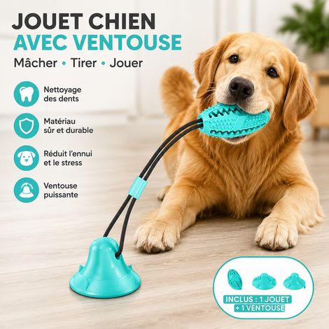 Jouet à Mâcher pour Chien avec Ventouse, Jouet Dentaire Interactif, Nettoyage des Dents et Distributeur de Friandises (1/5)