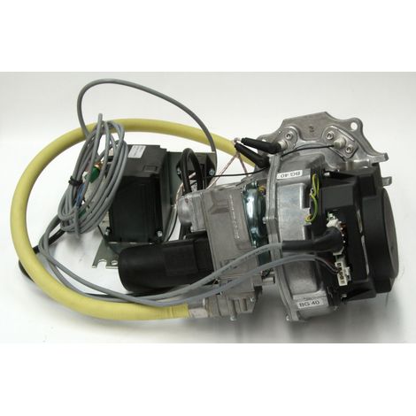 Brenner A1 BG 40 LPG für ROTEX A1 BG bis BJ 2018 - 5011828 von Daikin
