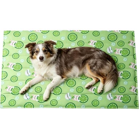 Alfombrilla refrescante para mascotas, alfombrilla de PVC suave, alfombrilla antideslizante y plegable para mascotas, alfombrilla refrescante, caseta para perros, manta (1/5)