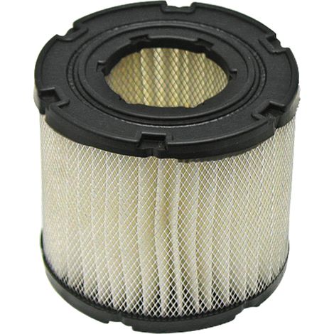 Filtre à air BRIGGS STRATTON 393957S, 390930
