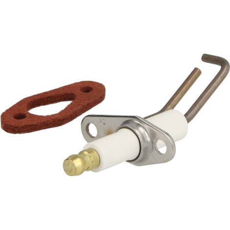Electrode d'allumage et joint