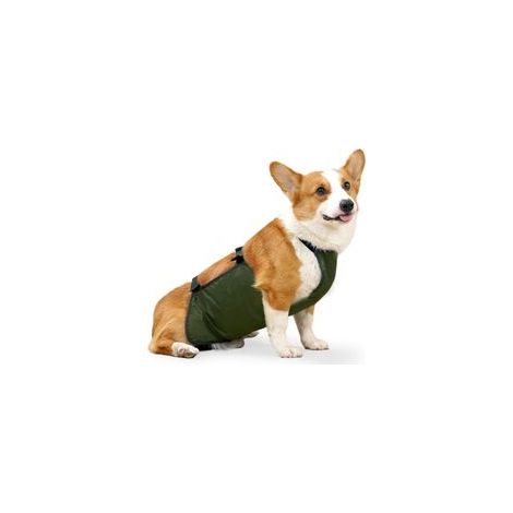 Vêtements imperméables pour Animaux de Compagnie, Veste de Pluie pour Chien, Couverture Ventrale, imperméable Corgi, Bande Ventrale pour Chien,M