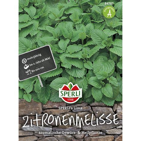 Sperli Zitronenmelisse - Kräutersamen (1/2)