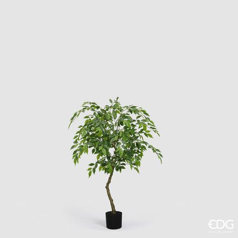 EDG Enzo De Gasperi Ficus Beniamino Vogue con Vaso Pianta Artificiale H 100 Cm Verde (1/4)
