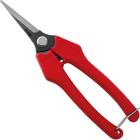 FORBICE FORBICI COGLIUVA VENDEMMIA POTA LAME STRETTE DRITTE 18cm AUSONIA (1/2)