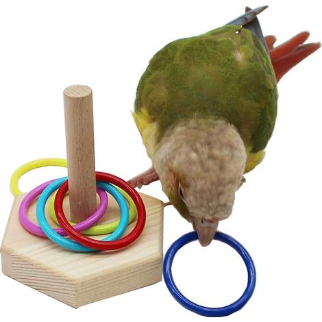 Jouets pour oiseaux, jeux d'adresse pour oiseaux, jeu de basketball d'entraînement à empiler et colorier, jeux éducatifs pour activités de gym et aire de jeux, jouets pour cages à pieds (1/4)