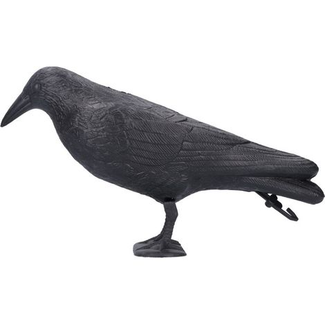 Leurre de chasse corbeau en plastique réaliste pour jardin extérieur (1/5)