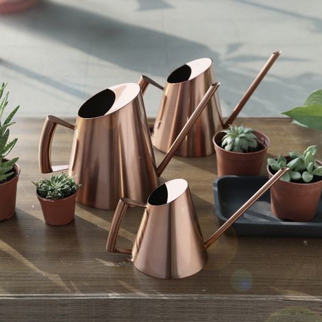 Arrosoir en Acier Inoxydable pour Plantes d'Intérieur et Extérieur - Arrosage Jardin et Balcon (1/5)