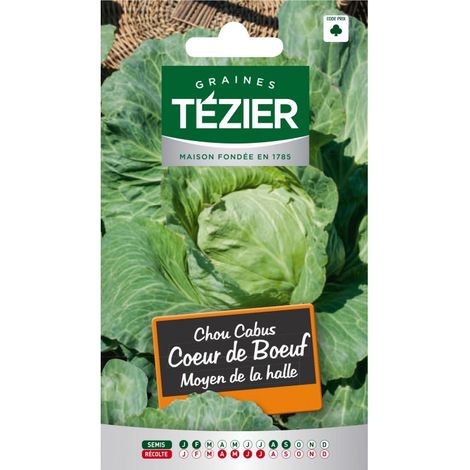 Tezier - Chou Cabus Cœur de Bœuf Moyen de la halle (1/2)
