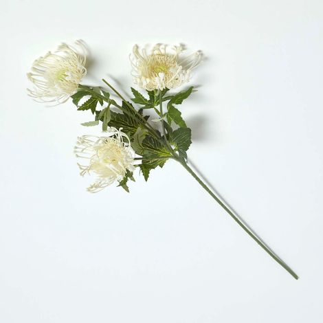 HOMESCAPES Cream Protea Spray Single Stem Flower 65 cm (1/5)