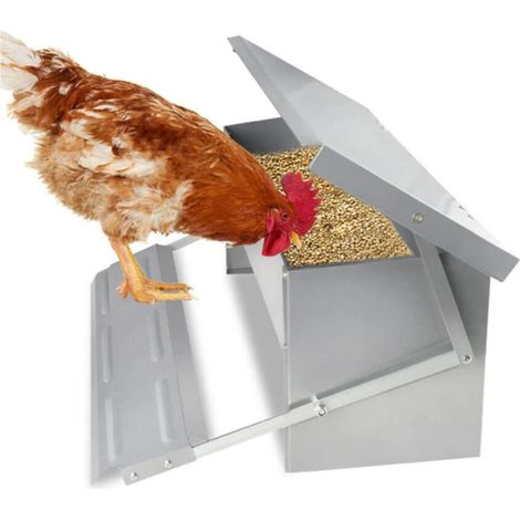Mangeoire automatique avec couvercle Distributeur automatique Auge Auge d’alimentation résistante aux intempéries 5kg (1/5)