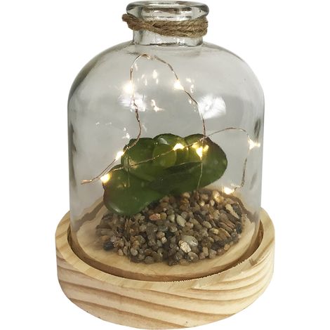 LED Glas Flasche mit Holzboden mit Sukkulente -M52034-2