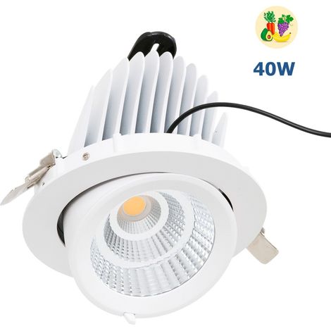 Einbaubarer schwenkbarer LED-Downlight - spezieller Chip für