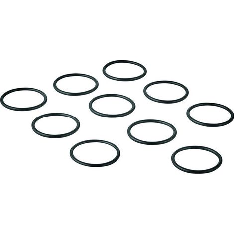 O-ring X 10