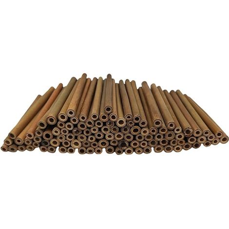 Matériau de Remplissage de Tubes d'hôtel à Insectes Tube en Bambou Naturel de 15cm de Longueur Accessoires de Maison d'abeille dans Le Jardin (1/5)