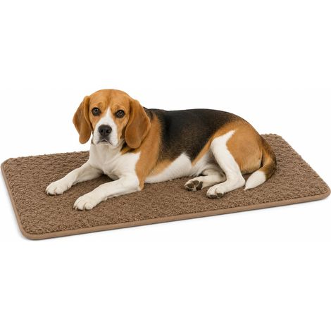 Panier Chien - Coussin Chien et Chat Orthopédique à Mémoire de Forme - Coussin Rectangulaire Beige - Convient aux Cages de Transport - 85,5x51 cm (1/5)