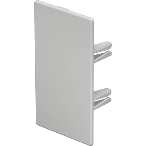 OBO Bettermann Terminale 60x110mm Polivinilcloruro bianco puro RAL 9010, 6193307