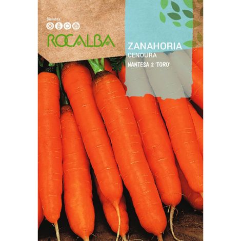 Rokalba Samen Nantosa Karotte 2 "Bull" 25 g