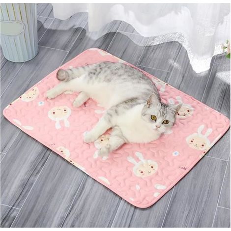 Tapis de refroidissement - Doux - Rose - Taille L 60x45 cm - Respirant - Antidérapant (1/4)