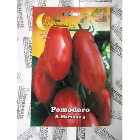 Semi Orto Pomodoro S. Marzano - 10 Pz