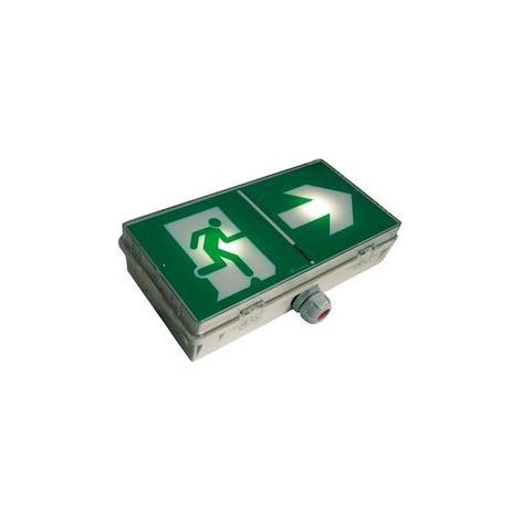 Luminox 17015 Stand-alone emergency lighting unit (BAES) LED 0.5W 45lm SATI addressable 230V waterproof IK08 IP66 PLANETE 45 ES