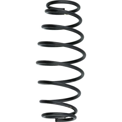KS TOOLS Válvula de muelle - 515.1200-R042P