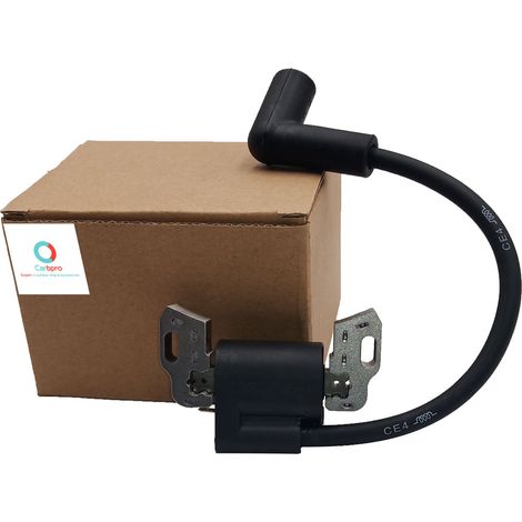 Transformateurs haute tension : Briggs & Stratton 799582 593872, tondeuse à gazon 08P502 09P (1/4)