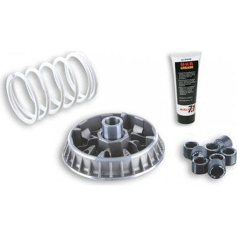 Variateur Malossi pour Scooter Suzuki 400 Burgman Après 2007 (1/3)