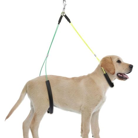 Table de toilettage pour chien, laisse de toilettage en corde, collier en fil d'acier (1/5)