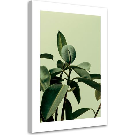 Tableau sur toile Plante verte nature 60x90 (1/5)