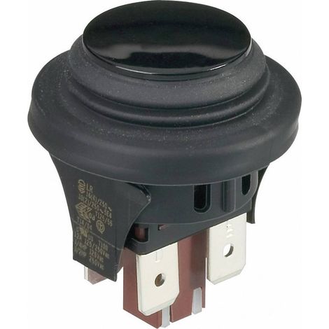 interBär 3656-001.22 3656-001.22 Bouton-poussoir 250 V/AC 16 A 2 x Off/(On) à rappel IP65 1 pc(s)