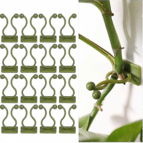 100 selbstklebende Pflanzenclips, grün, Wandhaken für Kletterpflanzen, Pflanzenstützen, Rankhilfen (1/5)