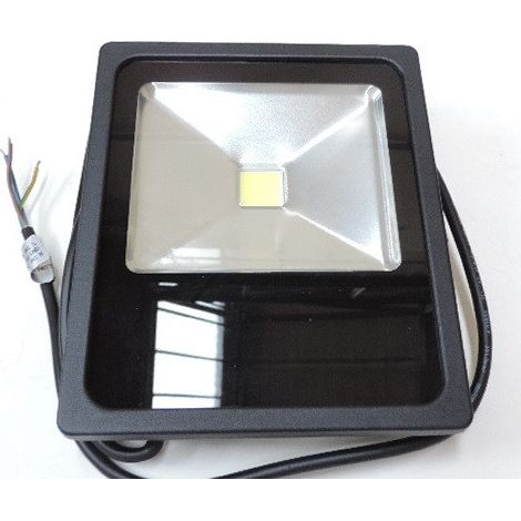 Projecteur exterieur LED 30W noir 230x194x51mm COB blanc froid 6000K 2780lm 230V standard 120° IK08 IP65 ultra mince S2 (1/3)