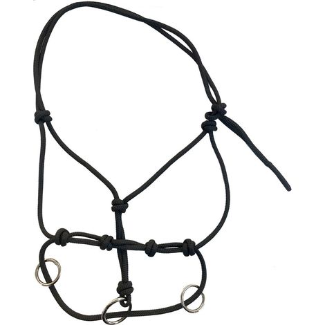Taglia unica, Nero: Kopfstück mit Ringen ideal für junge Pferde zum  auszubilden