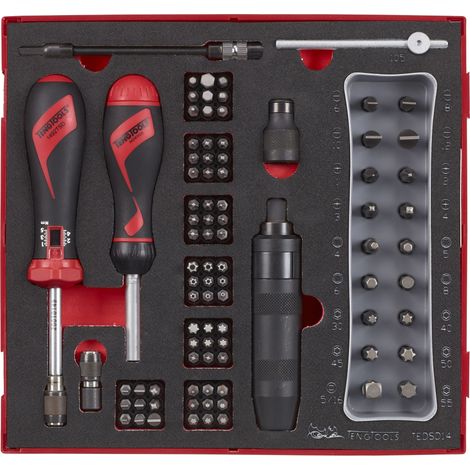 Set de tournevis dynamométriques Foam2 tray HEX- PH- Plat- TX- ROB- TPX- PZ 95 pièces Teng Tools TEDSD14