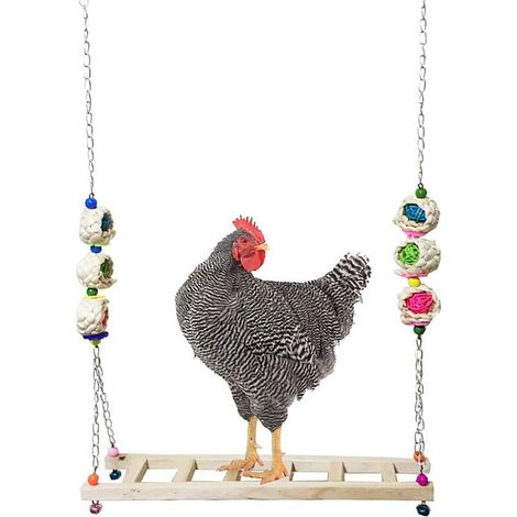 Jouets de percussion pour poules, accessoires pour volailles, cages à poules, jouets pour poules et pics, jouets pour perroquets, jouets pour cages à oiseaux (1/5)