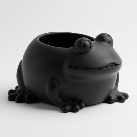 Vaso decorativo nero per piante a forma di rana, design moderno (1/3)