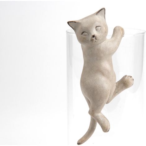 Amadeus - Chat suspendu crème
