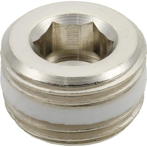 Bouchon CAMOZZI S261538 (1/3)