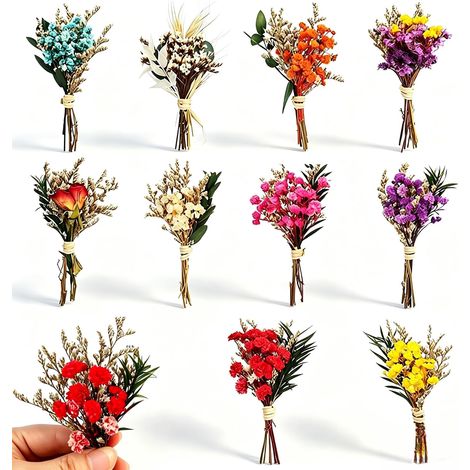 10 Pièces Bouquets de Fleurs Séchées Naturelles Mini Bouquet de Fleurs Séchées Petites Fleurs Séchées pour DIY Artisanat Scrapbook Journal Bullet Journal Album Photo Décoration et Boîtes (1/5)