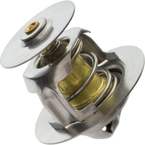 Termostato para Ford Escort 90-00 (1/2)
