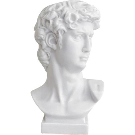 Tête David - Sculpture Buste Résine - Décoration Intérieure Étagère Salon Bibliothèque - 1 Pièce