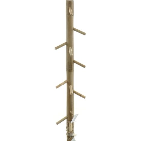 Van der Leeden – Portemanteau mural vertical en teck avec 10 patères – Naturel, hauteur 60 cm (1/2)