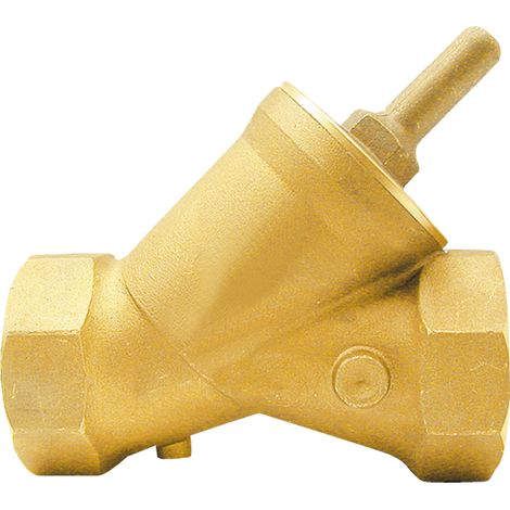 Clapet anti-retour en laiton, coudé, 1/2 pouce, 2x GW