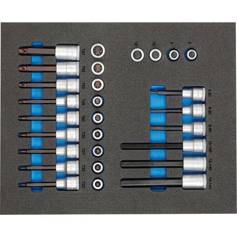 GEDORE TS CT2-ITX19 Satz Schraubendrehereinsätze 1/2" in 2/4 Check-Tool-Modul (1/2)