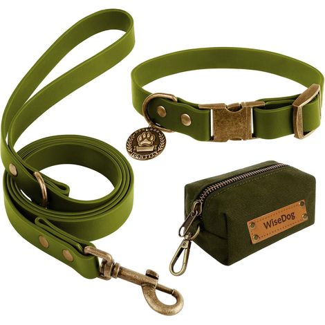 Ensemble Collier et Laisse imperméable pour Chien (XL, Vert) (1/5)