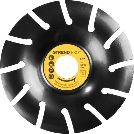 Raspelscheibe Strend Pro, 125 mm, für Holz, für Winkelschleifer