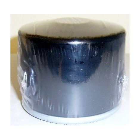 FILTRO OLIO MOTORE BRIGGS&STRATTON TENCUMSEH NUOVO (1/2)