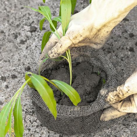 Lot de 12 paniers de Protection Contre Les Racines en Acier Inoxydable avec Filet de Protection Contre Les Racines et Paire de Gants pour protéger Les Plantes, Les Racines des Arbres, Les graines (1/5)